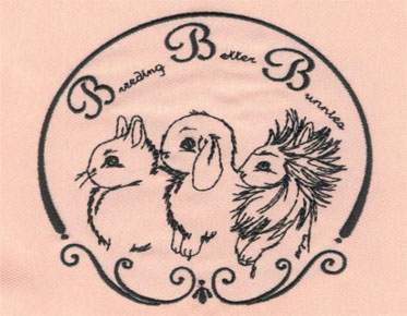 Embroidery Digitizing Rabbit Design